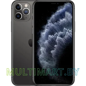 Смартфон Apple iPhone 11 Pro Max 64GB (серый космос)